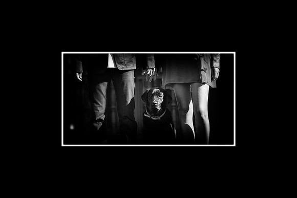IMG_6385b 8x12 1x